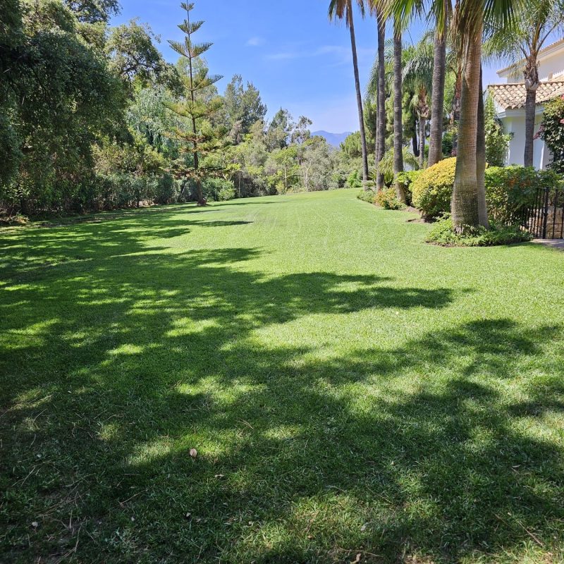 988b56ae-7afc-4c45-a006-70e76e32e139