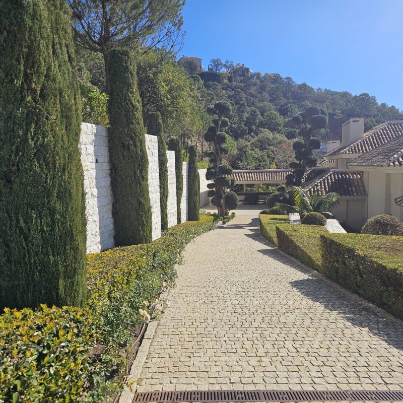 f0e24fb6-f2b7-4317-a80f-41e1a1b89c5a