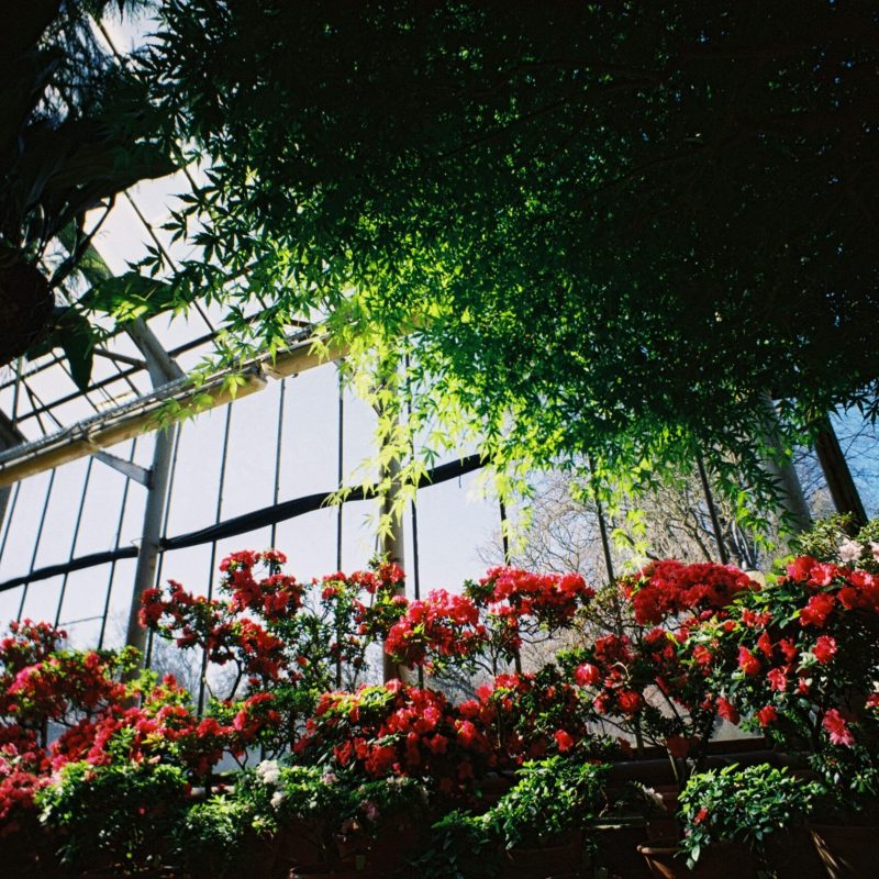 pexels-elgolovchenko-31625972